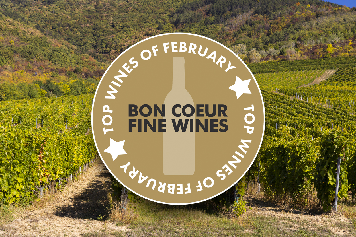 Top Wines of February