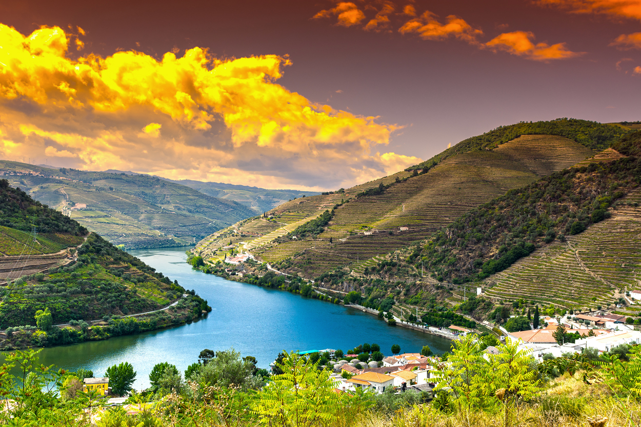 Discover the Diverse Wine Regions of Portugal