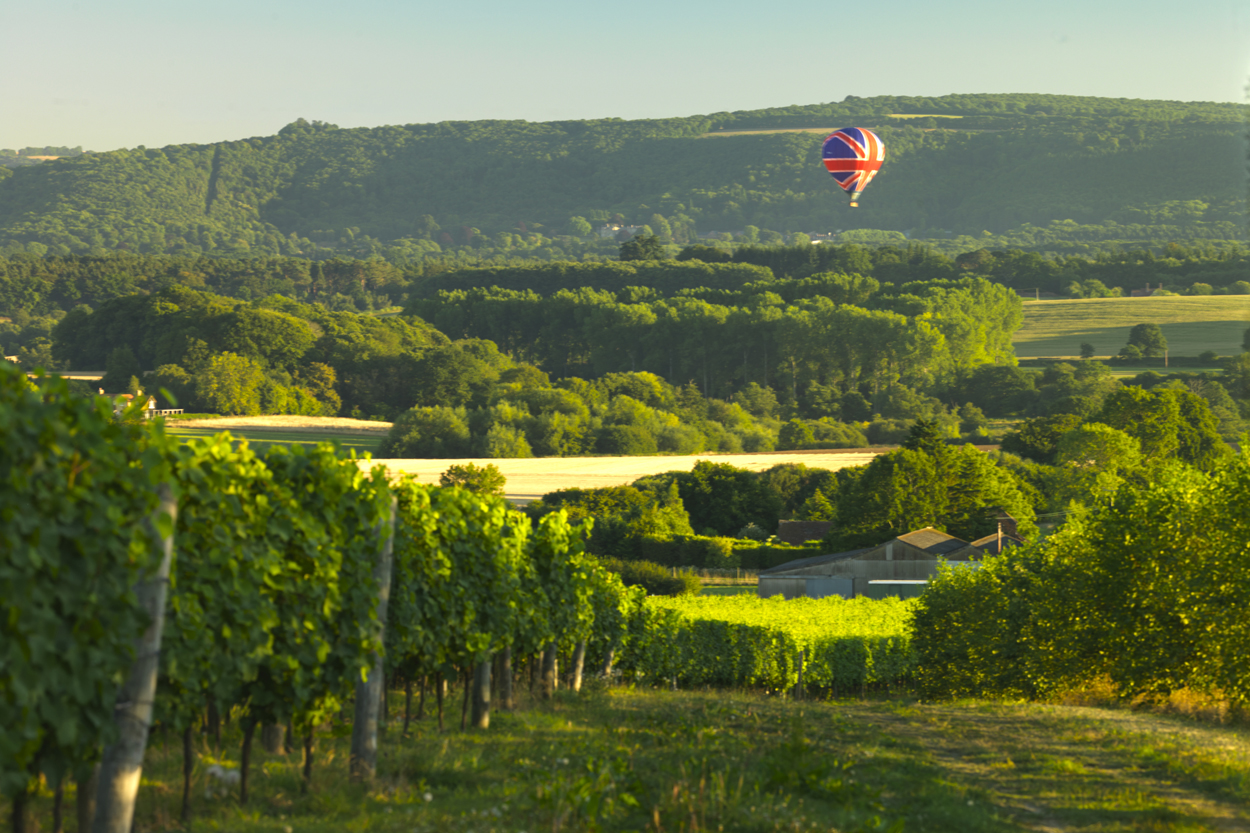 Homegrown Hidden Gems: English Wine at it’s Best