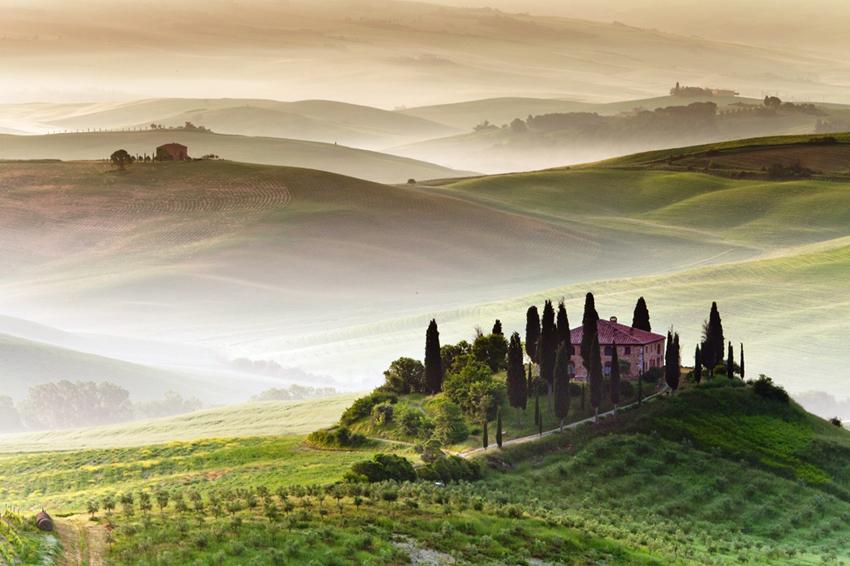 Brunello 2020 En Primeur: Critic Thoughts