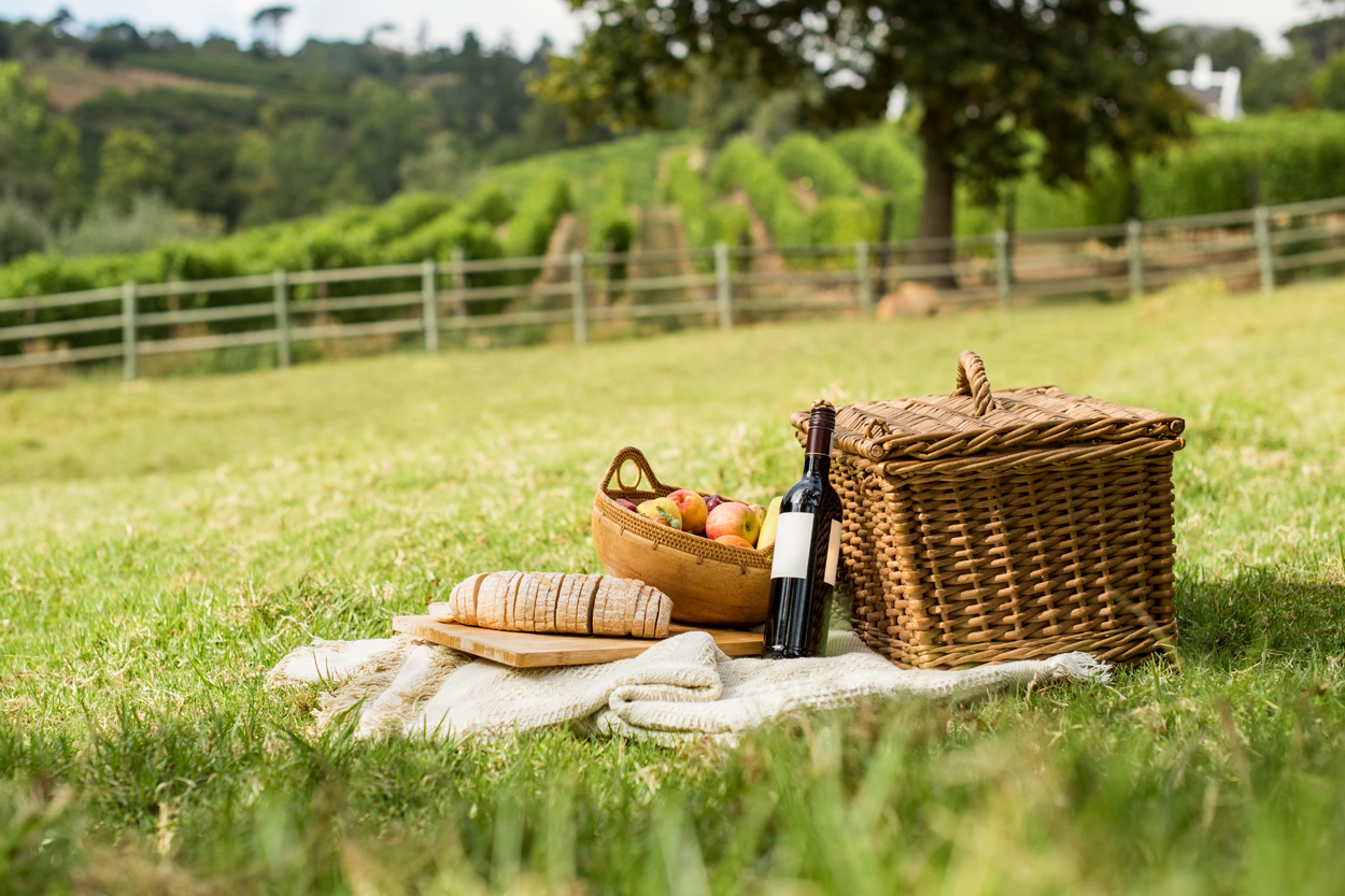 Perfect Picnic Wines to Sip this Summer