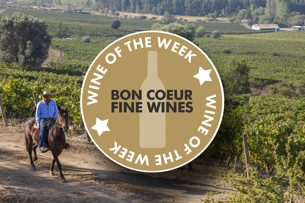 Wine of The Week: Viu Manent Secret Viognier