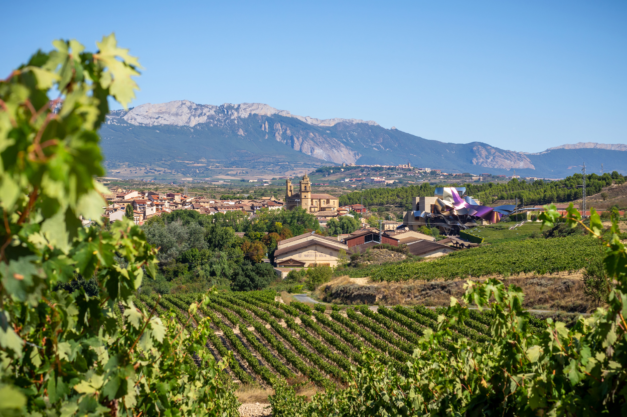 An insider's guide to: Rioja