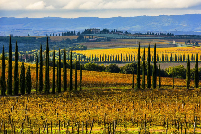 Brunello di Montalcino 2017: Against All Odds