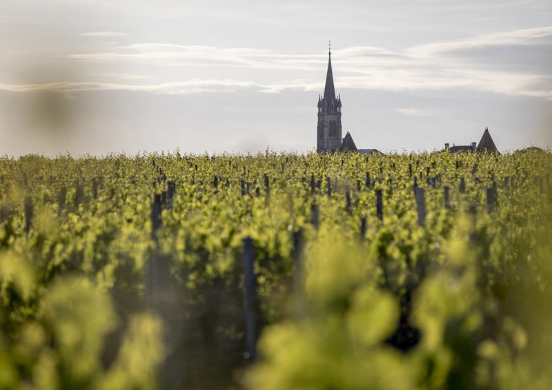 Bordeaux En Primeur 2014 - Right Bank Syndicat Tastings