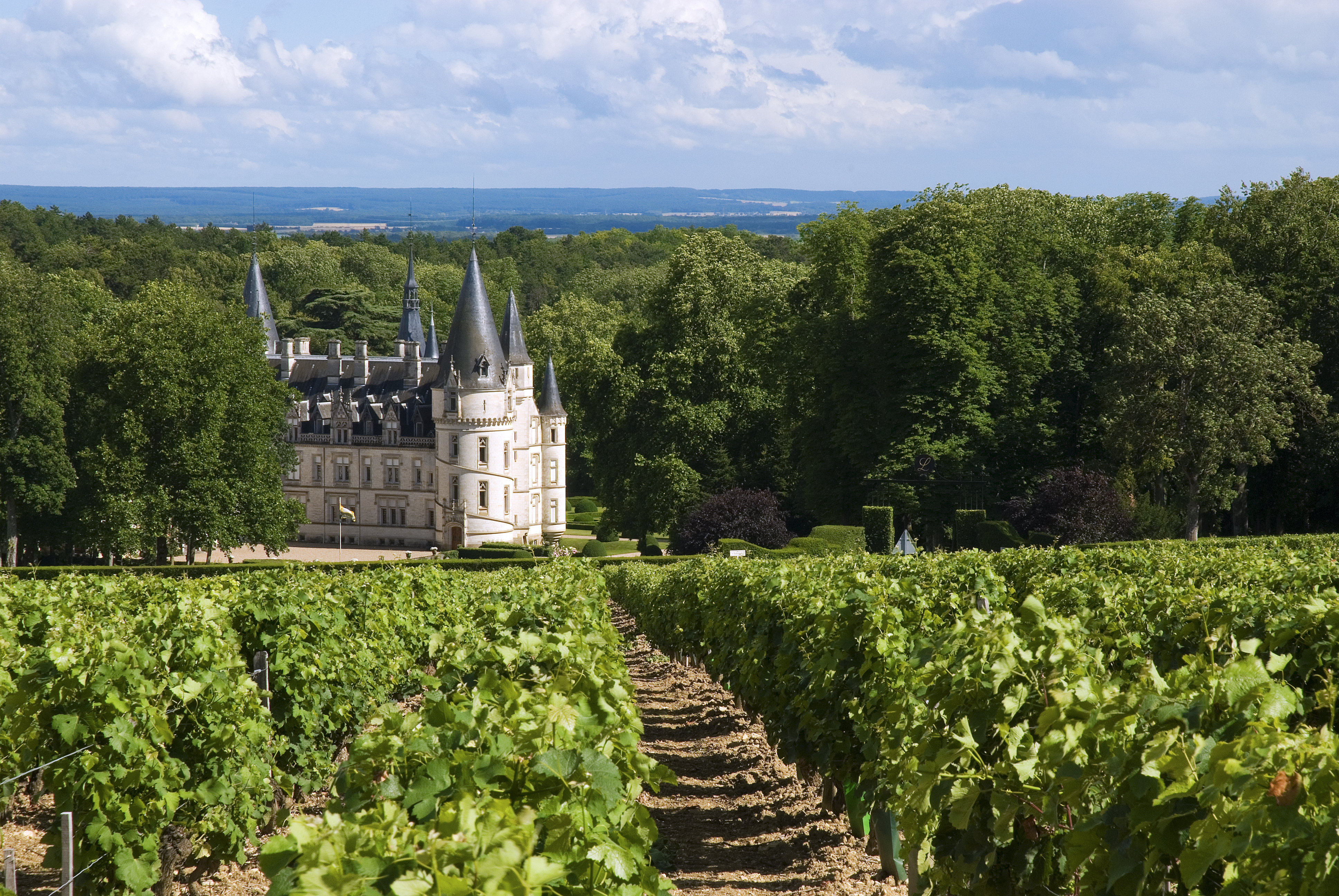 Loire Valley Lowdown: Pouilly-Fume