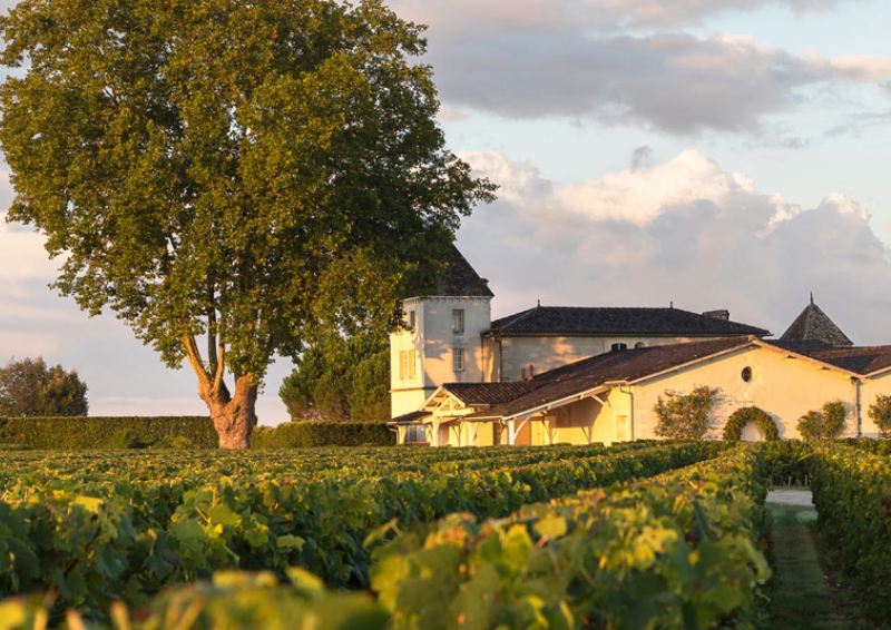 Bordeaux En Primeur 2014 - Some Charming Wines