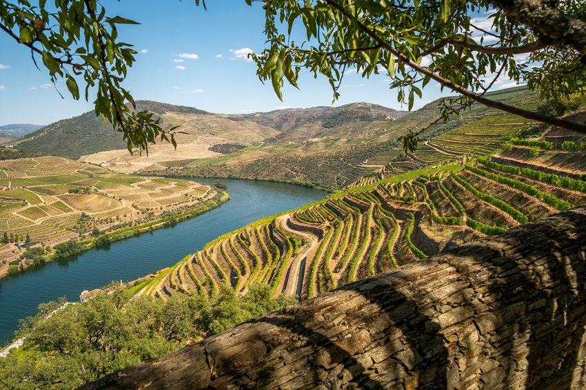 douro vineyards portugal