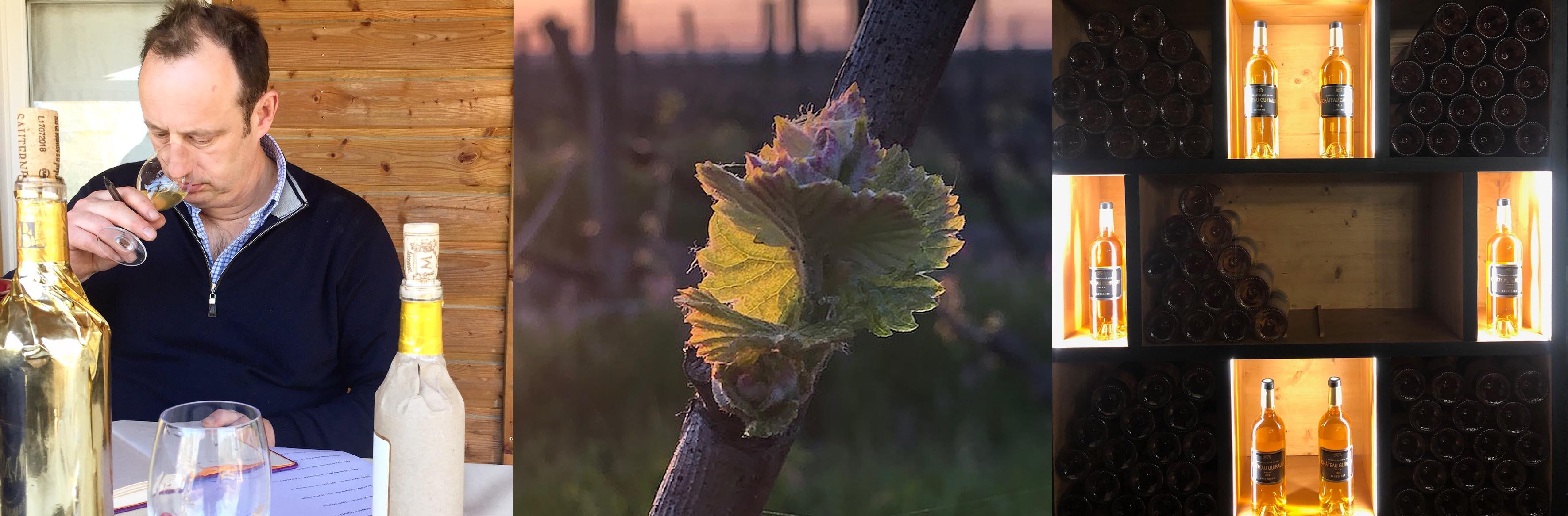 Bordeaux 2018 En Primeur Tasting