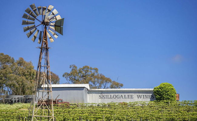 Skillogalee wines